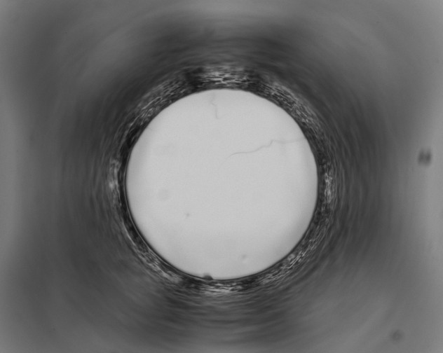 X0000097640757200803281123