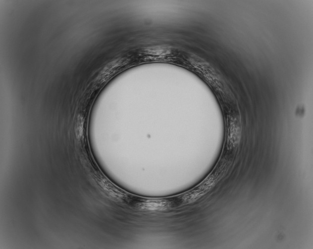 X0000097640758200803281123