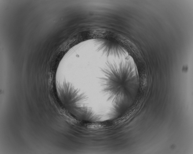 X0000097640759200803281123