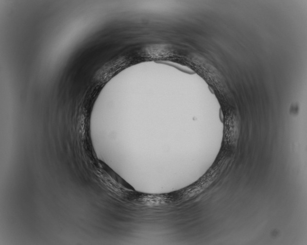 X0000097640762200803281123