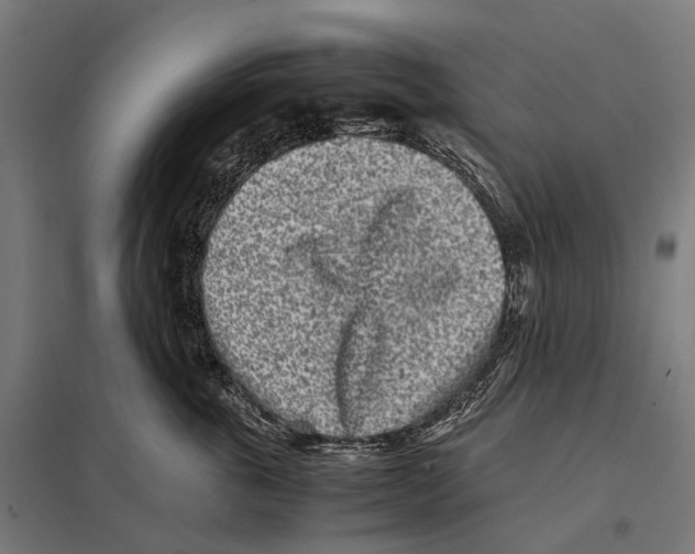 X0000097640763200803281123