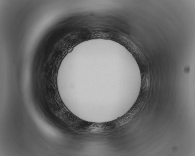 X0000097640764200803281123