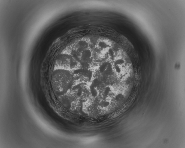 X0000097640765200803281123