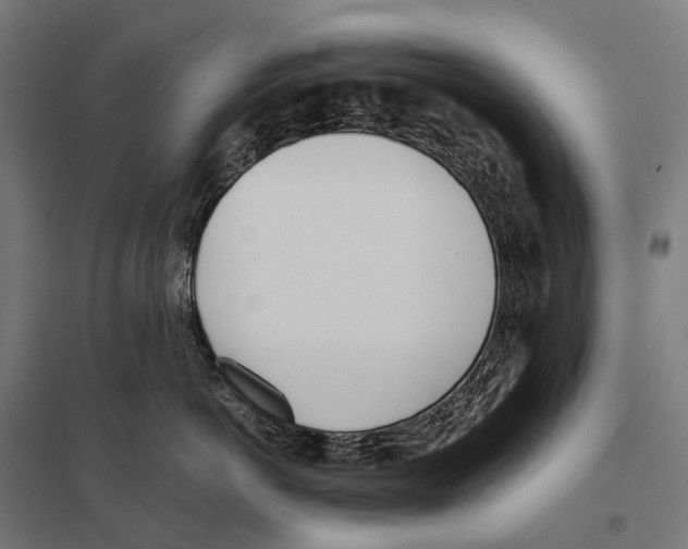 X0000097640766200803281123