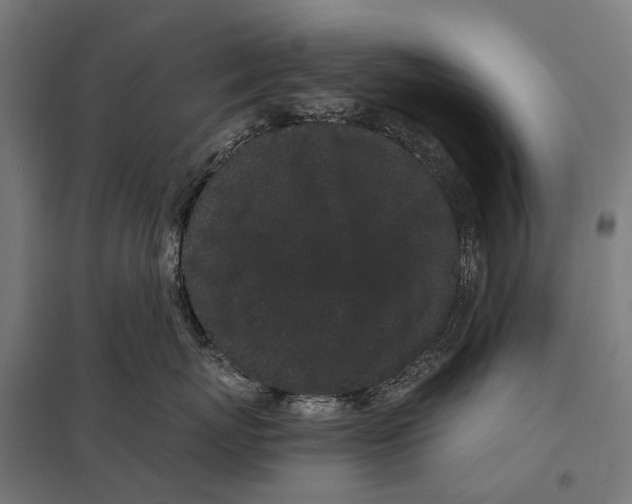 X0000097640767200803281123