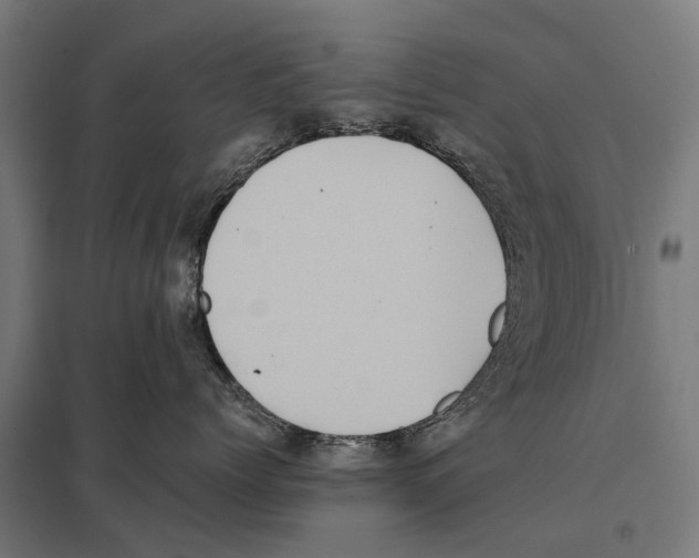 X0000097640768200803281123