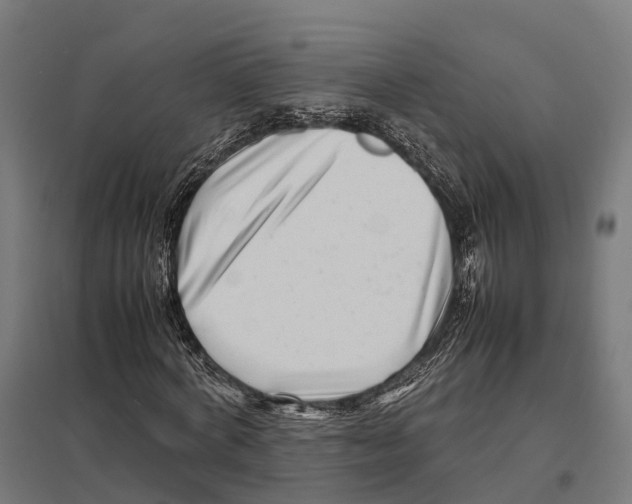 X0000097640772200803281122