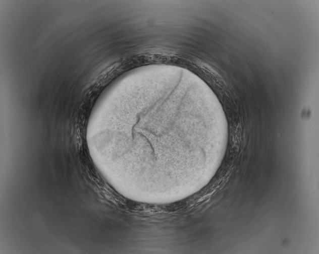 X0000097640774200803281122