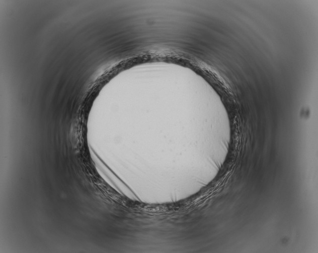 X0000097640776200803281122