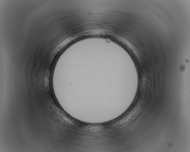 X0000097640778200803281122