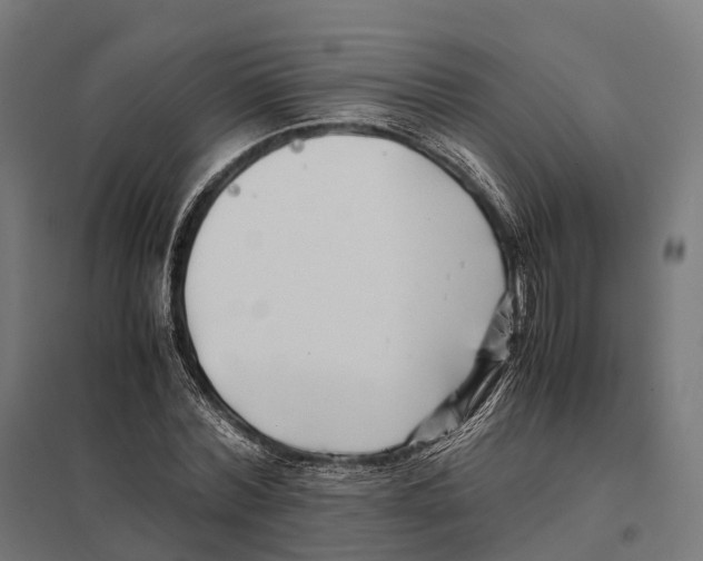 X0000097640780200803281122