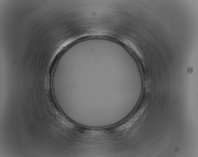 X0000097640781200803281122