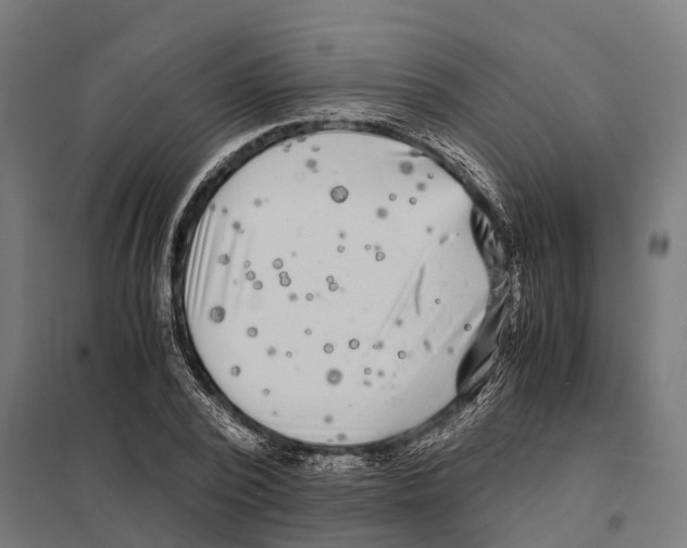 X0000097640784200803281122