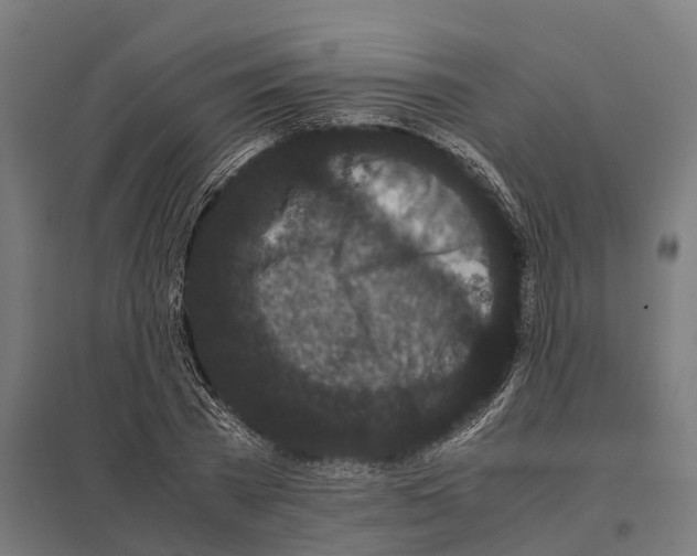 X0000097640785200803281122