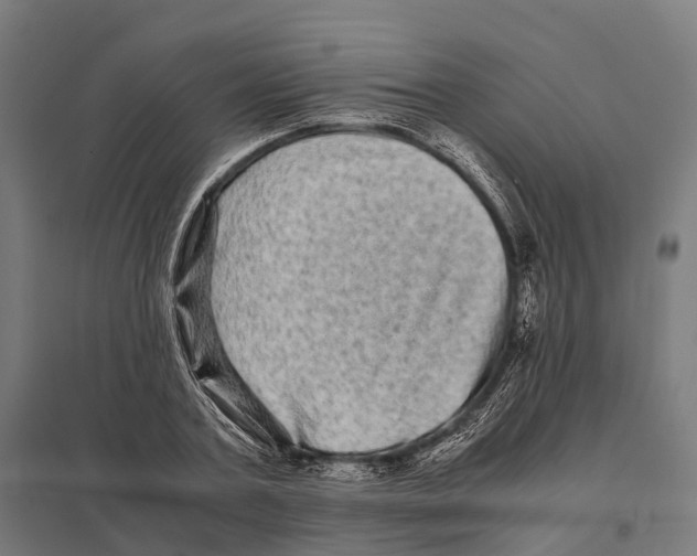 X0000097640787200803281122