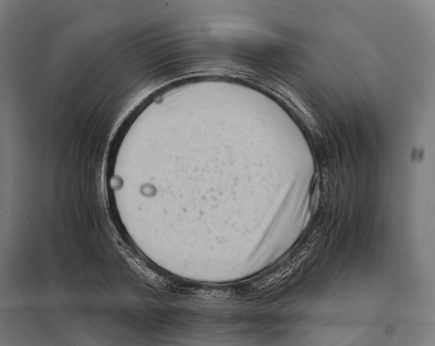 X0000097640788200803281122