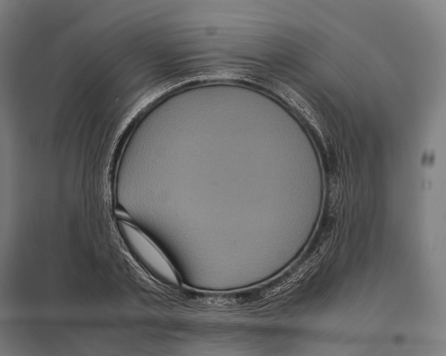 X0000097640789200803281122