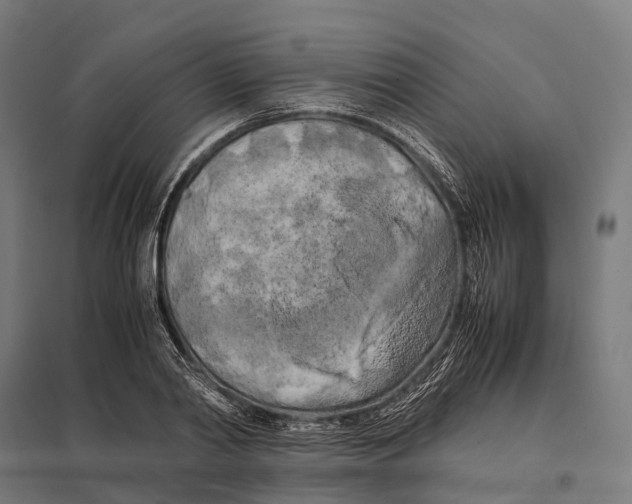 X0000097640790200803281122