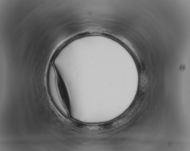 X0000097640791200803281122