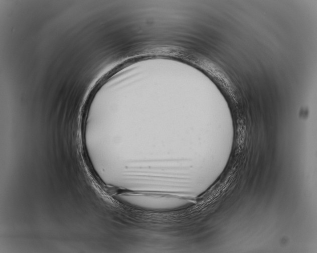 X0000097640792200803281122