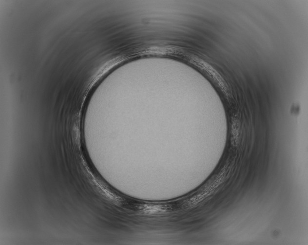 X0000097640794200803281122