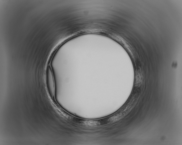 X0000097640795200803281122