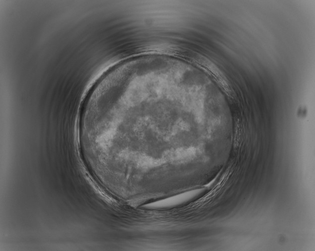 X0000097640796200803281122