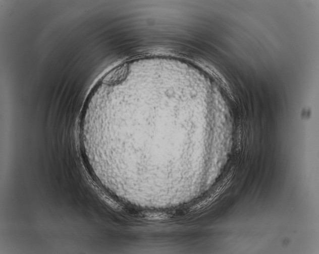 X0000097640798200803281122