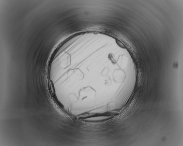 X0000097640800200803281122