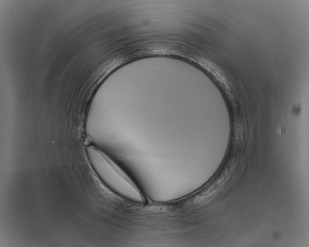 X0000097640801200803281122