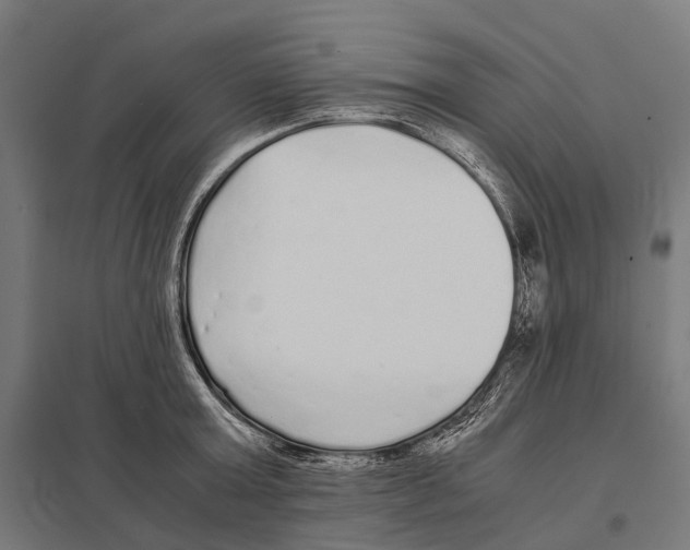 X0000097640803200803281122