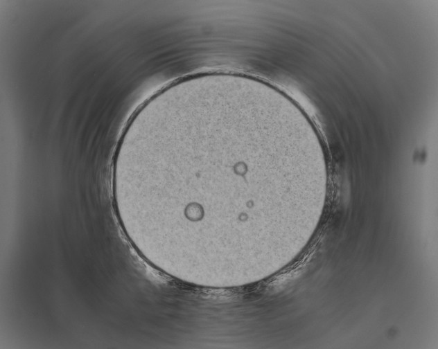 X0000097640807200803281122