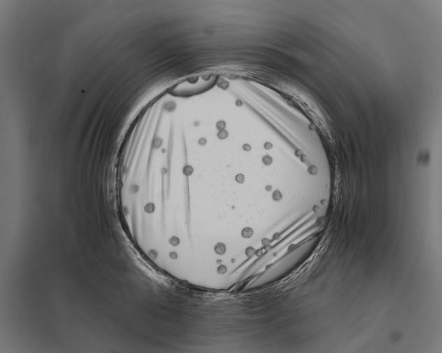 X0000097640808200803281122