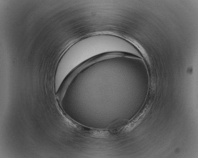 X0000097640809200803281122