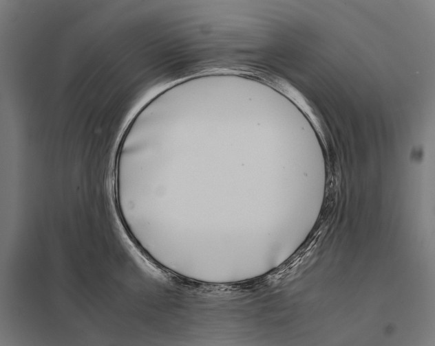 X0000097640811200803281122