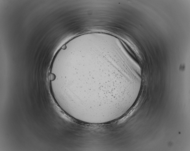 X0000097640814200803281122