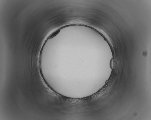 X0000097640815200803281122