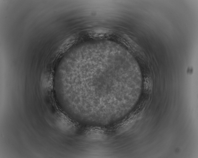 X0000097640820200803281121