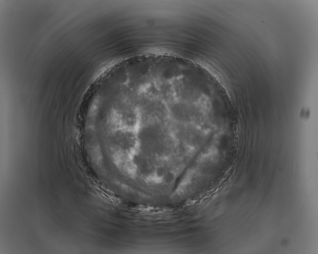 X0000097640823200803281121