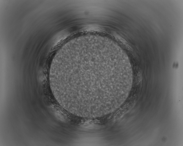 X0000097640824200803281121