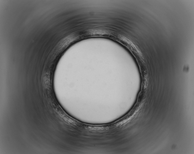 X0000097640825200803281121