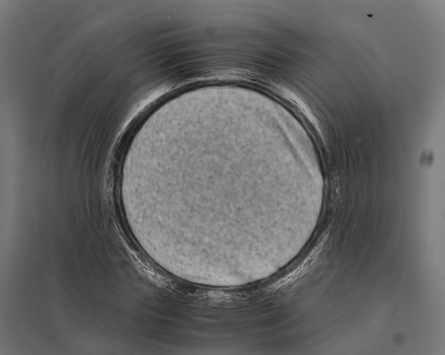 X0000097640827200803281121