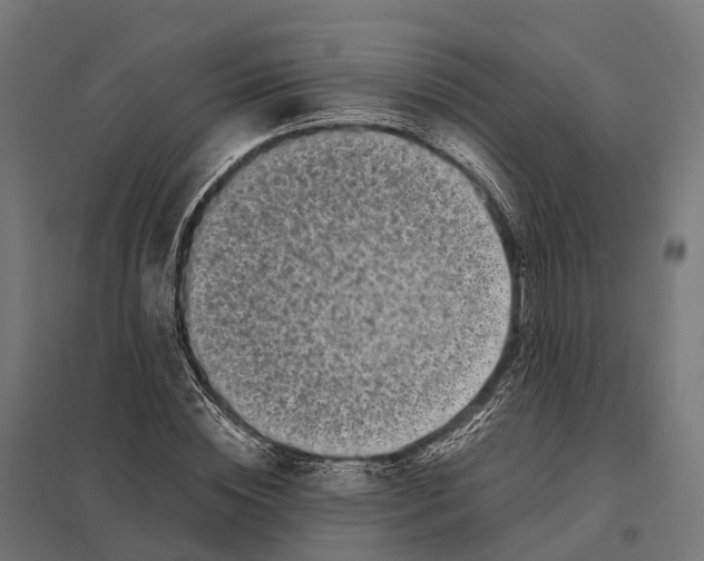 X0000097640828200803281121