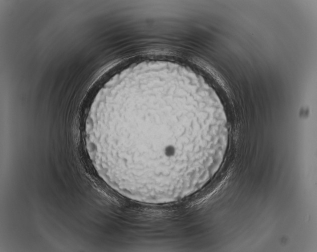 X0000097640829200803281121