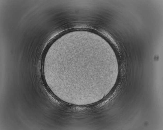 X0000097640831200803281121