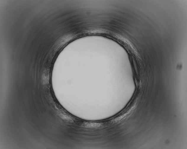 X0000097640833200803281121