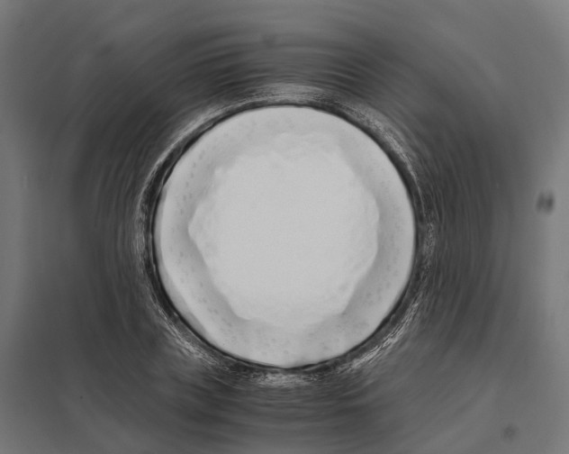 X0000097640835200803281121