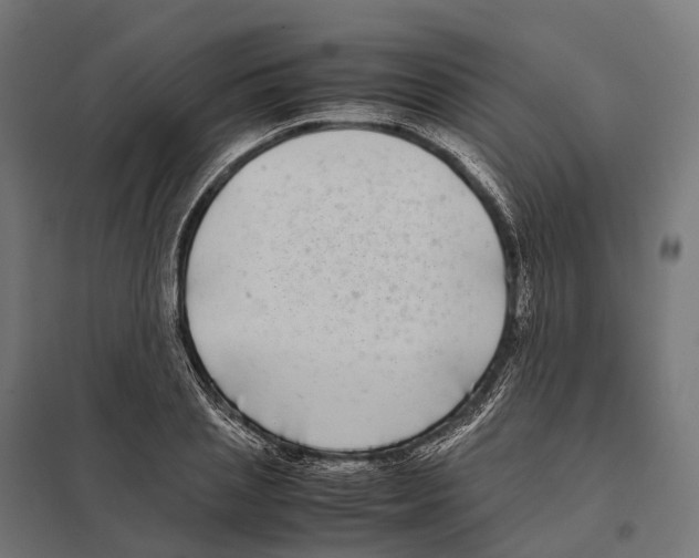 X0000097640837200803281121