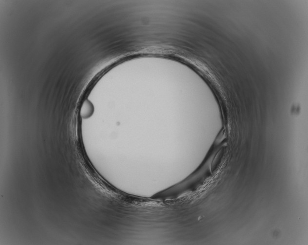 X0000097640838200803281121