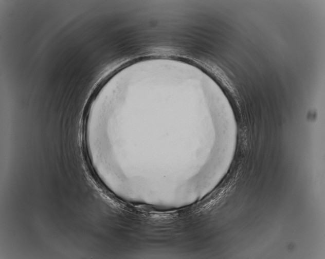 X0000097640839200803281121